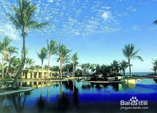 饮食文化素菜的做法