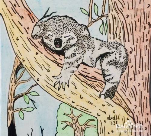 彩铅画教程之桉树上的考拉