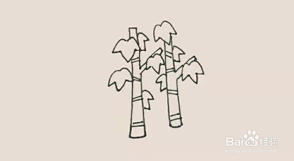 枫树简笔画 简单 步骤图片