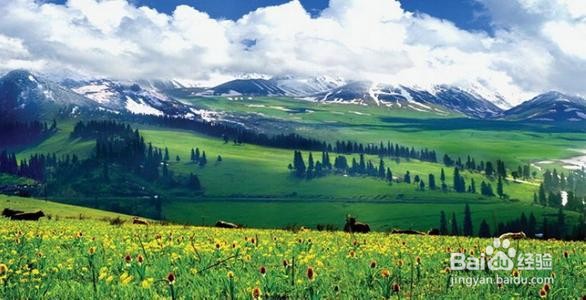 自驾独库公路路线攻略