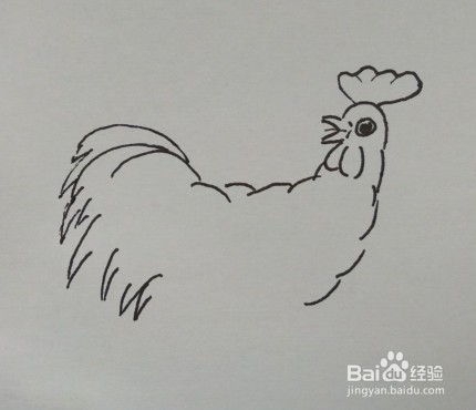 线描画：大公鸡怎么画才好看
