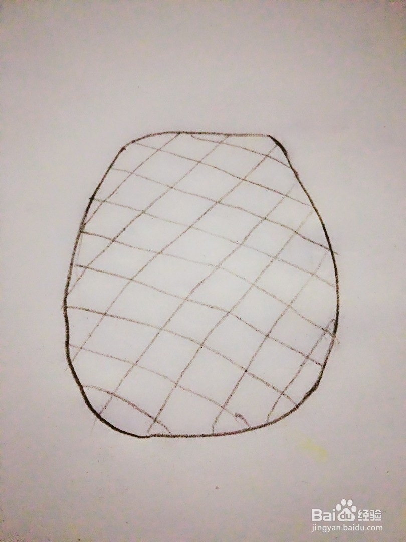 菠萝的简笔画法