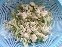 特色——干锅菜花