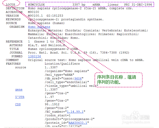 如何看懂GenBank数据库的序列文件？