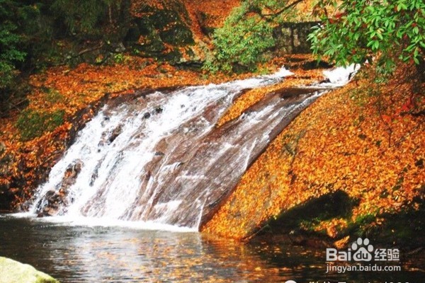 光雾山旅游攻略