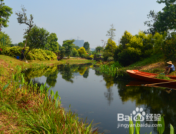 广州大观湿地公园在哪里？