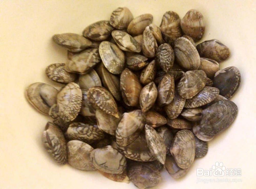 美食#花甲如何进行清洗