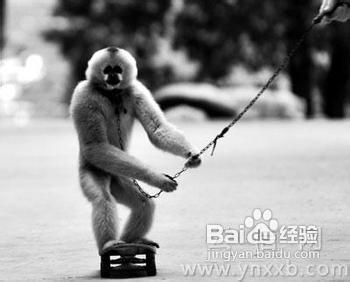 怎样提高销售业绩