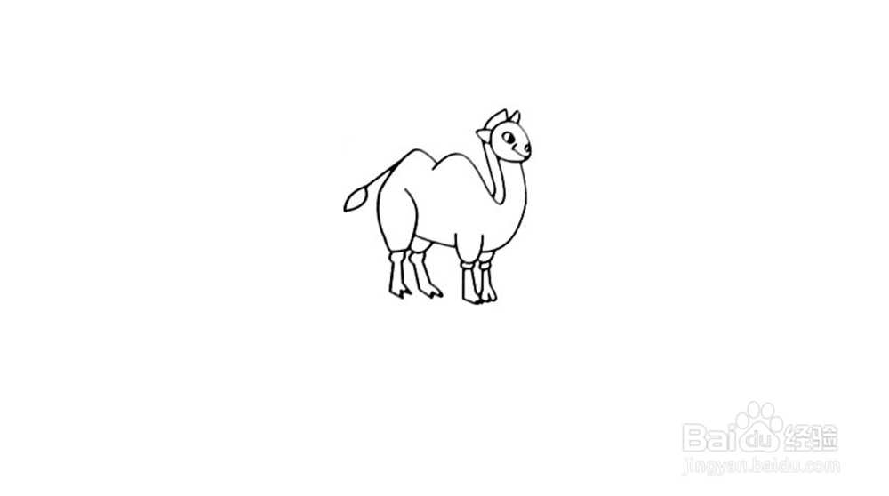 骆驼简笔画教程