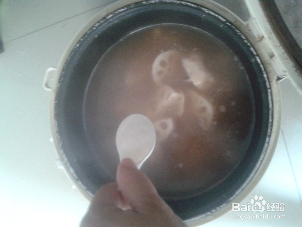 花生莲藕煲脊骨汤