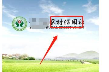 怎么找回农信登录密码