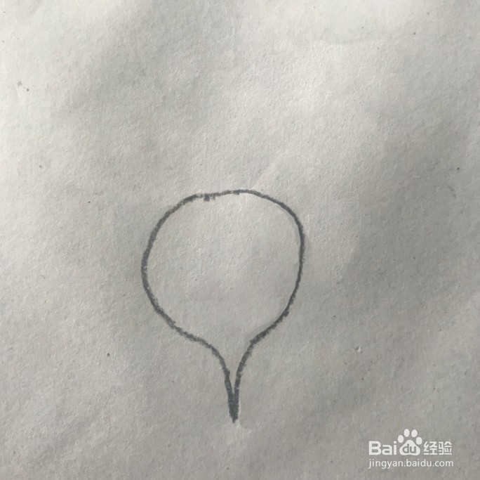 【简笔画】萝卜的分步画法