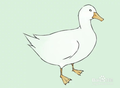 怎样画小鸭子简笔画?