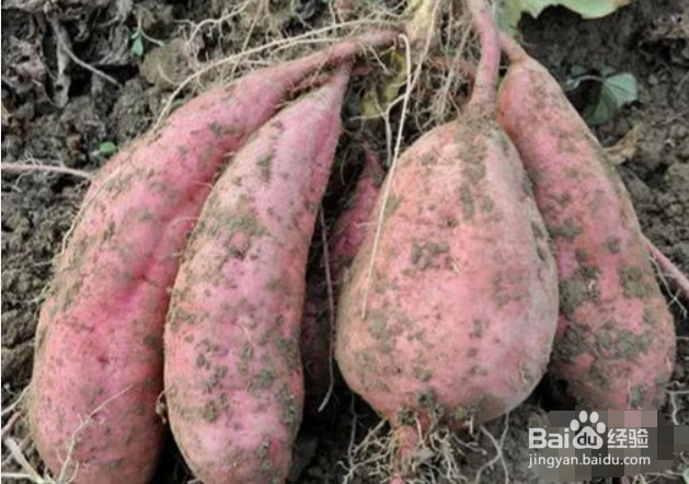 喝酒之后不能吃哪些东西？