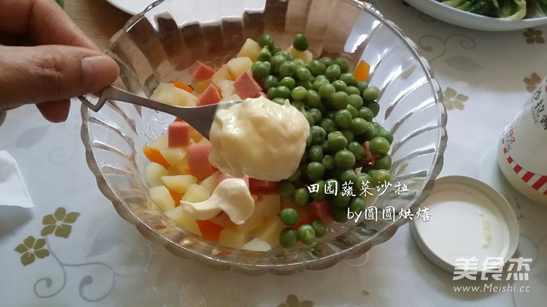 田园沙拉的做法