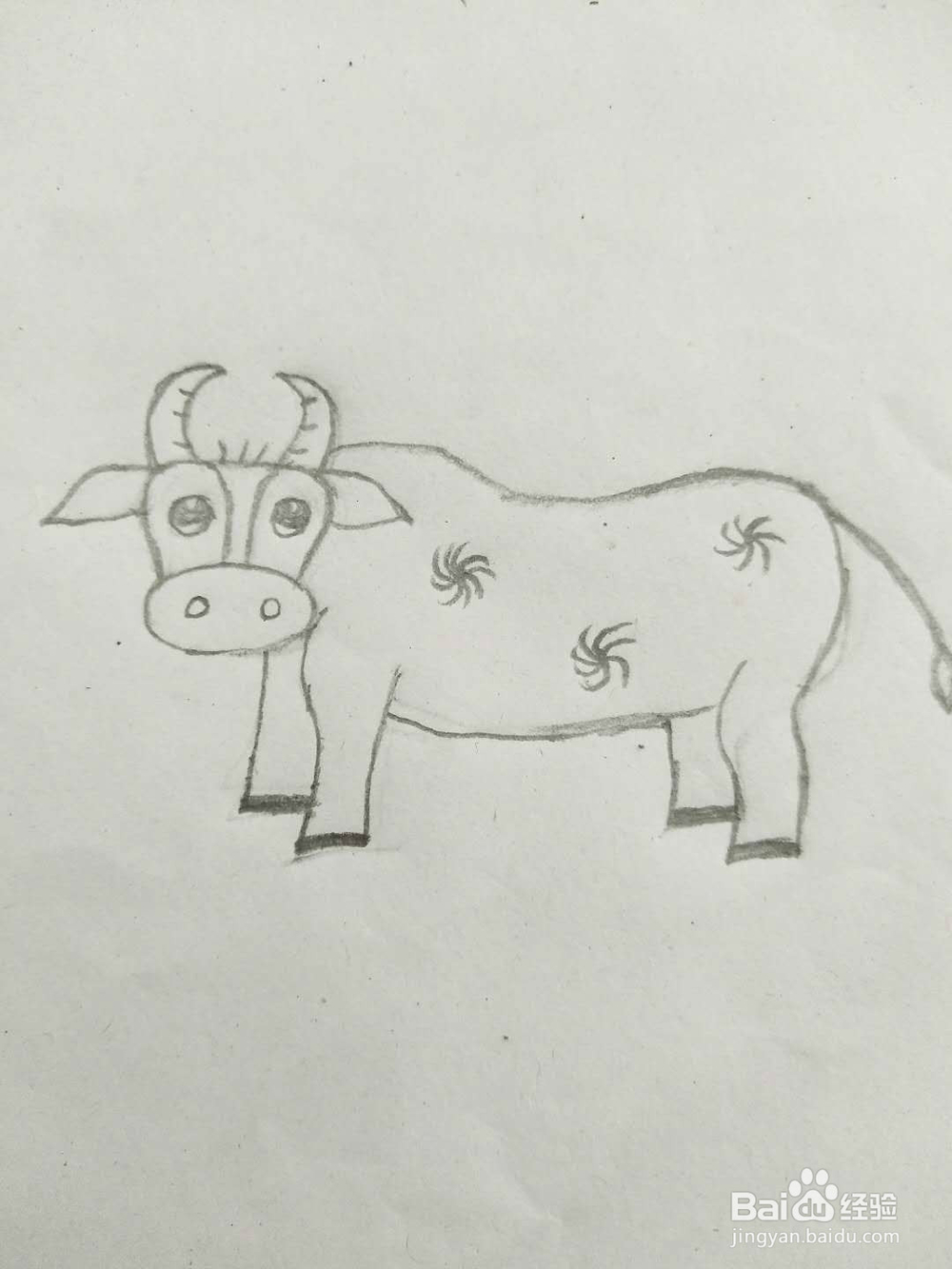 简笔画牛怎么画呢