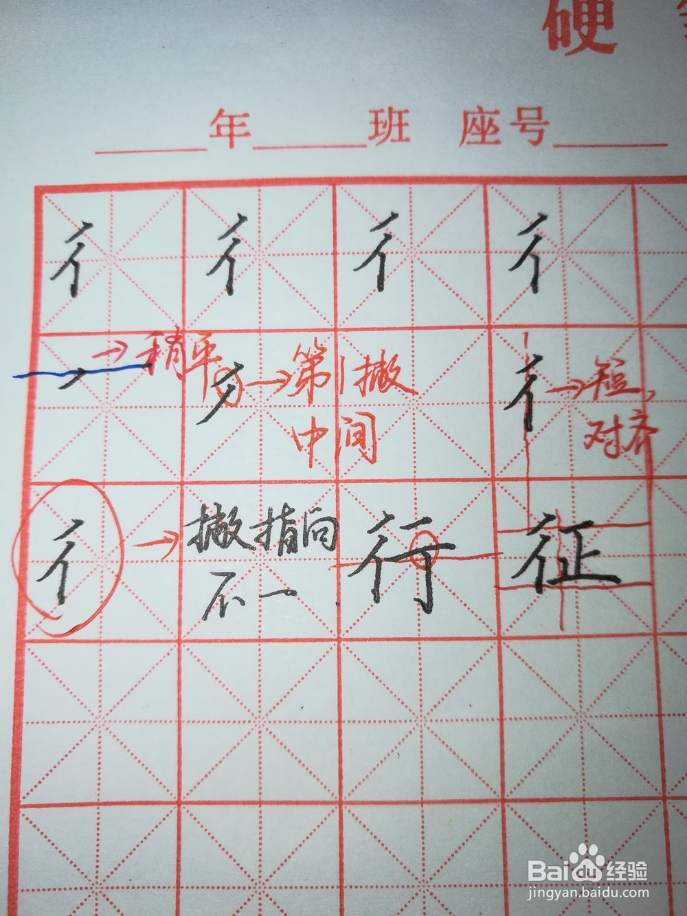 “双人旁”怎样写好看（硬笔楷书）？