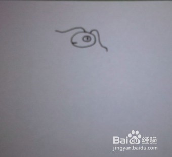 简笔画：教你怎么画蟋蟀