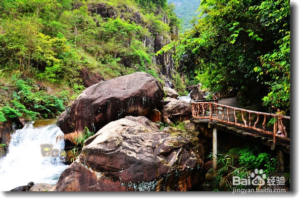 天然避暑胜地白水寨游记攻略