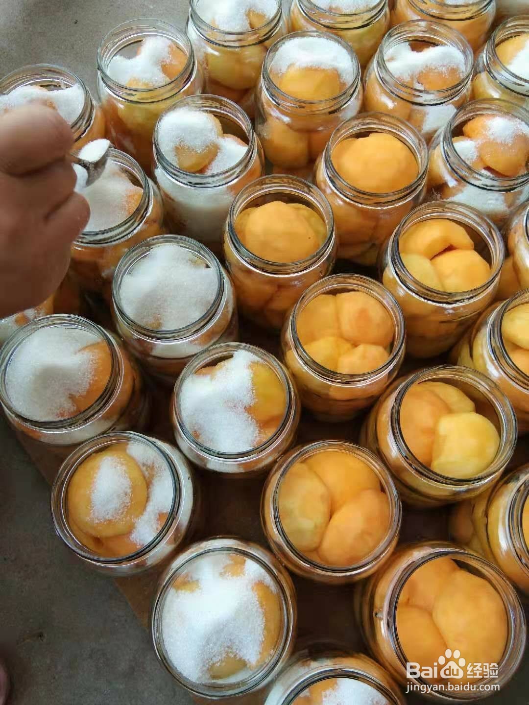 做黄桃罐头为什么要用盐水泡