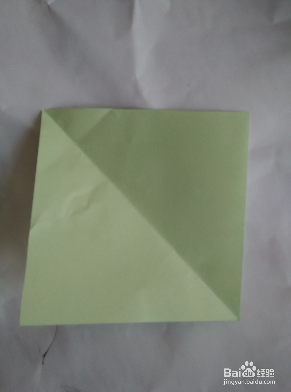 折纸郁金香的折法