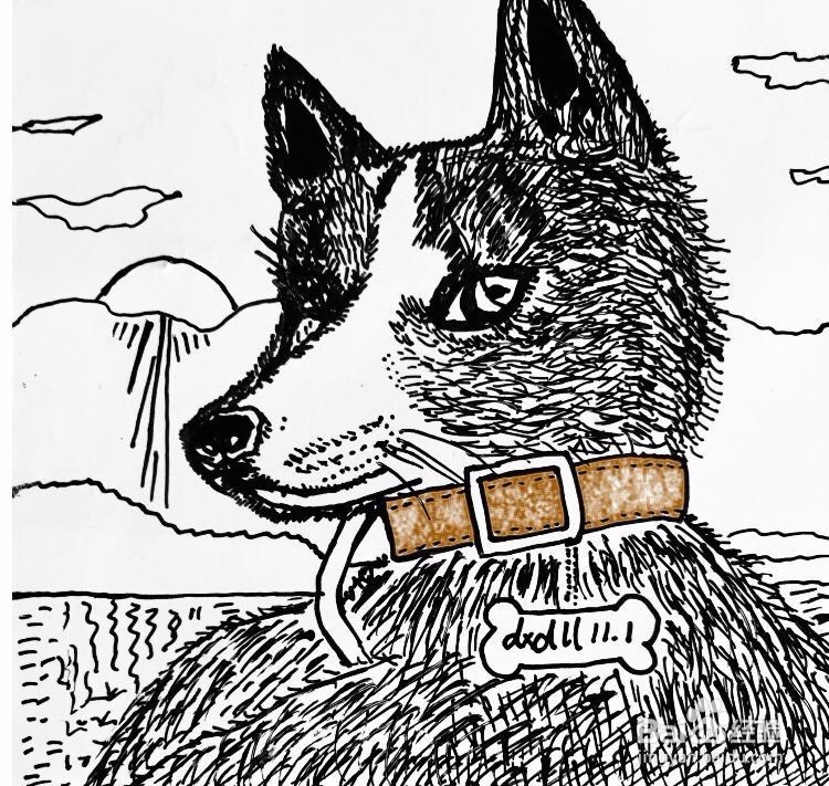 茉莉蜡笔手绘之萌宠哈士奇