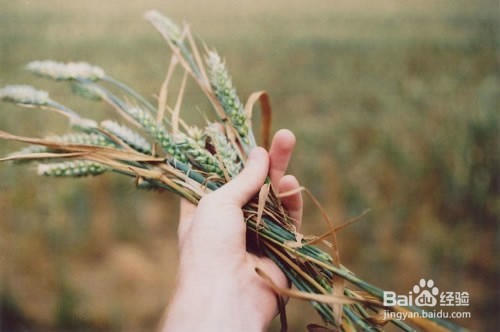 萌新怎样做好自媒体经营