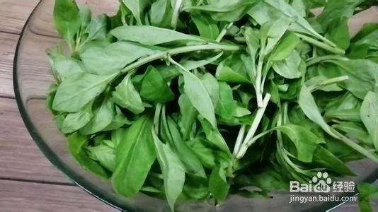 枸杞叶有哪些功效及如何食用