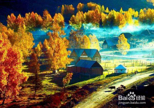 最适合秋季旅行的地方有哪些？