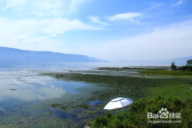 国内义工旅行民宿青年旅舍攻略