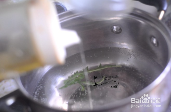 蒲公英的吃法和做法