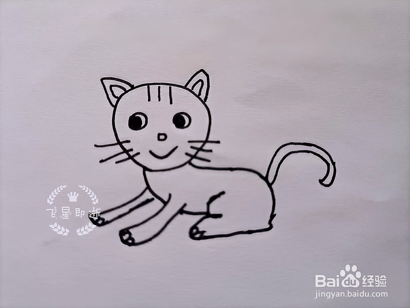 儿童简笔画 一只可爱的猫