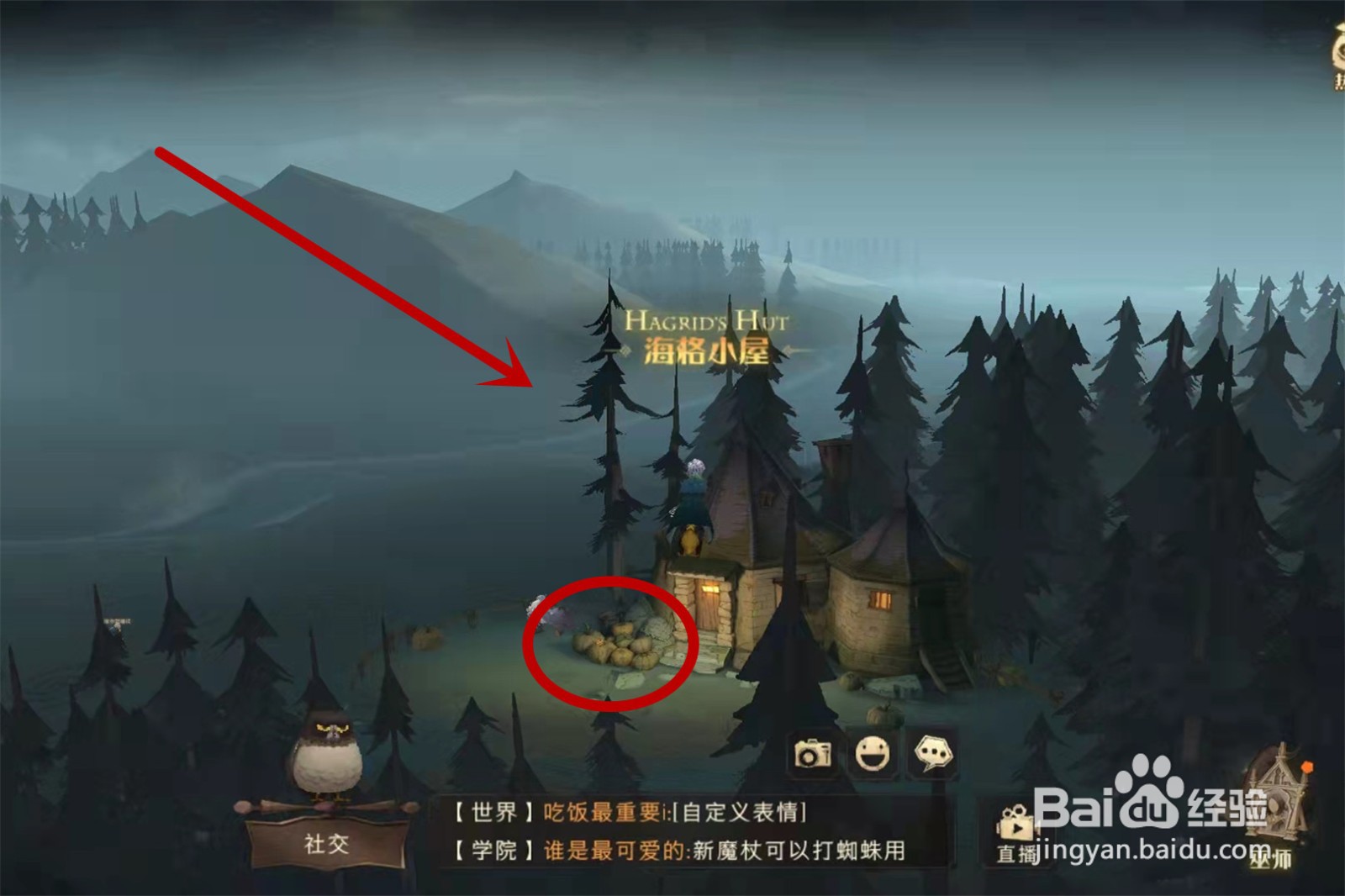 哈利波特魔法觉醒拼图10.21位置攻略