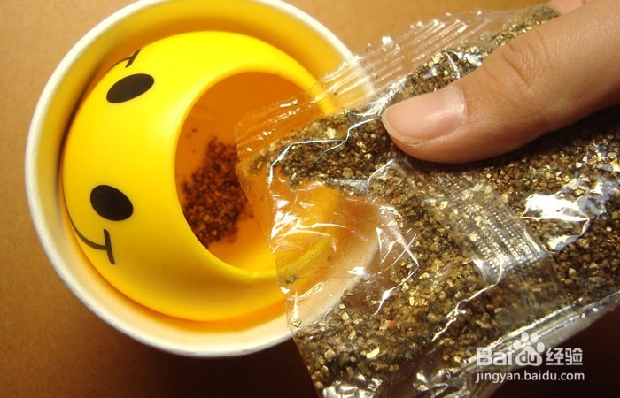 如何教孩子学会种小草