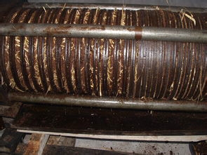 最健康有效的秀发方法