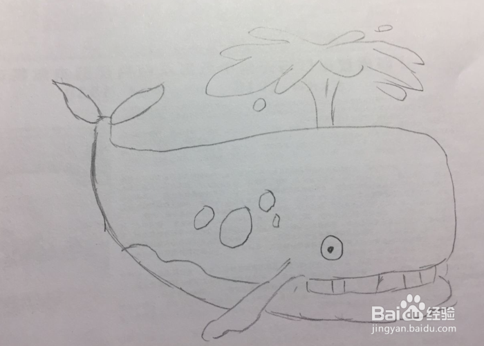 简笔画之喷水的鲸鱼