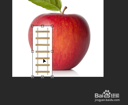 Photoshop如何制作园丁护理苹果特效