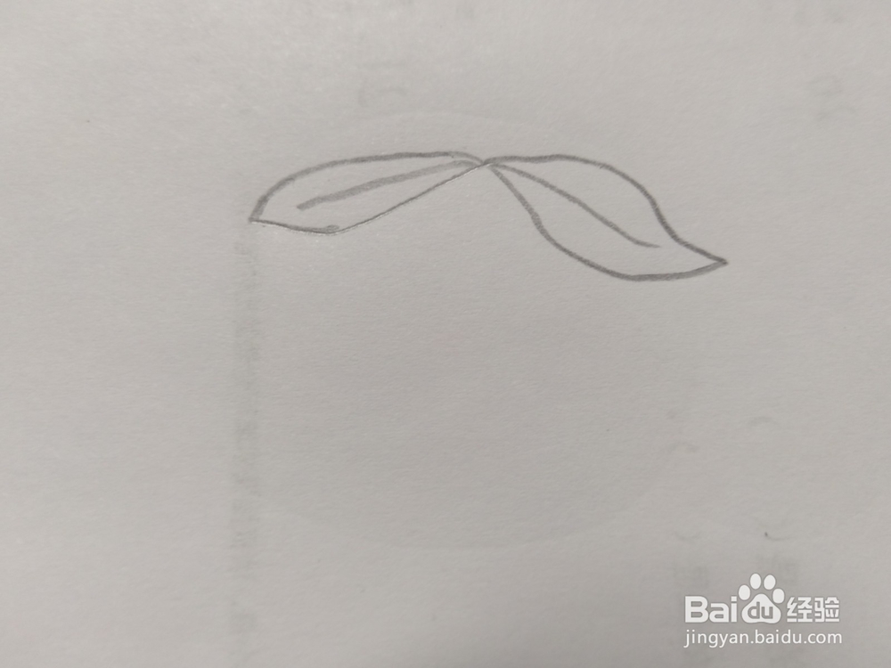 简笔画桃子画法7