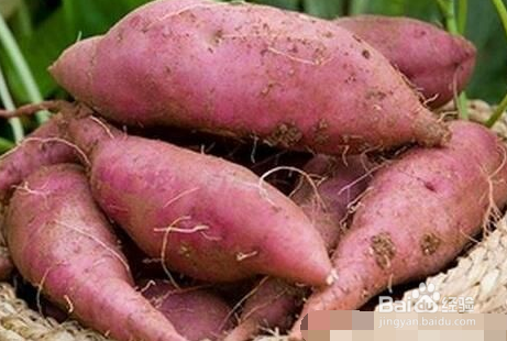 秋天吃红薯有哪些好处