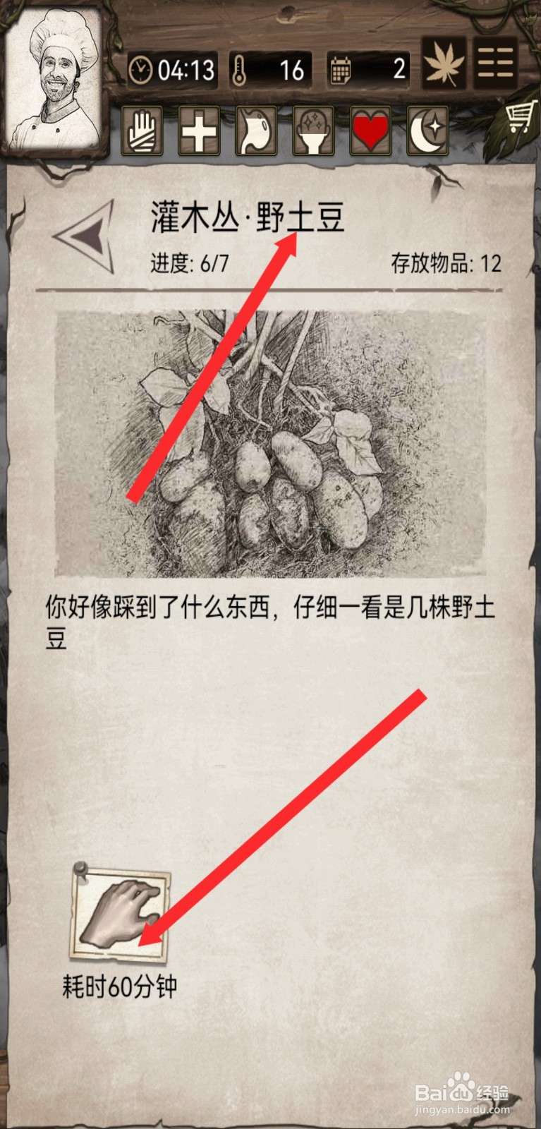 荒野日记孤岛如何拾取探索灌木丛野土豆的物品