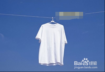 衣服商标的知识