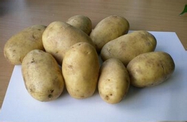 家常菜如何做清炒土豆丝？