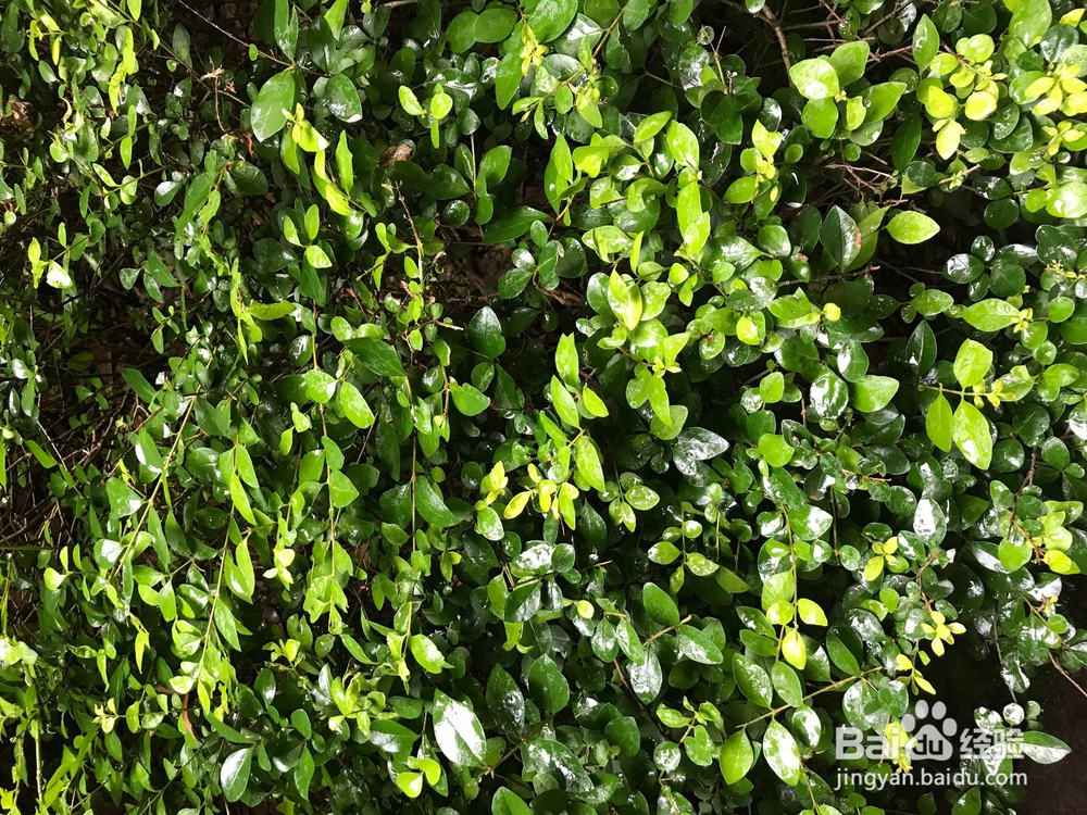 怎么拍摄一张属于自己的屏保