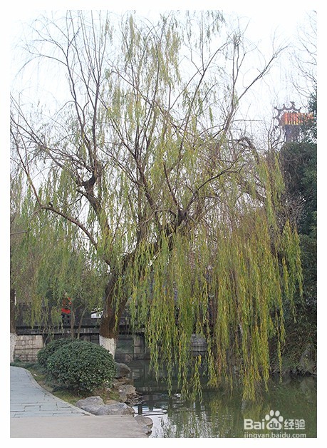 怎么拍摄公园景色