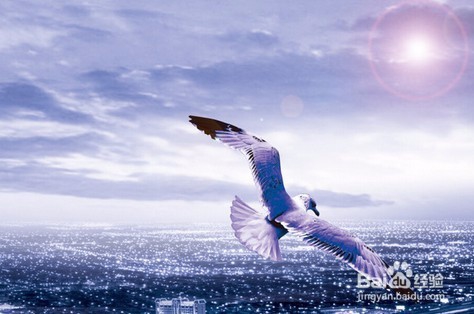 股票和债券有哪些区别呢