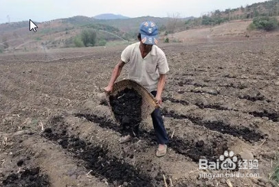 冬季施肥应该注意什么