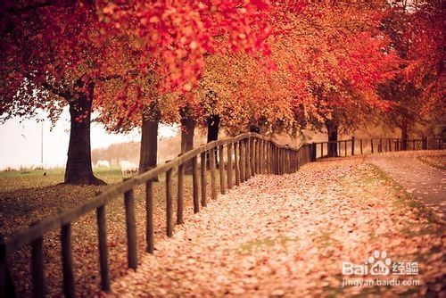 通过和外国人交谈学习英语口语的四大法宝
