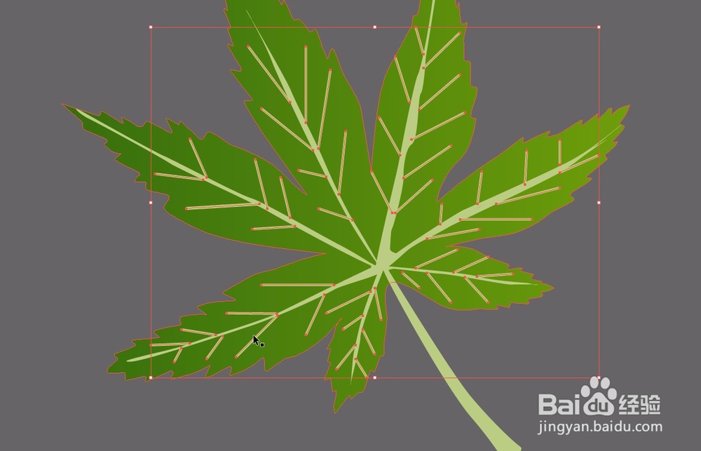 AI教程森林绘制Illustrator cs6