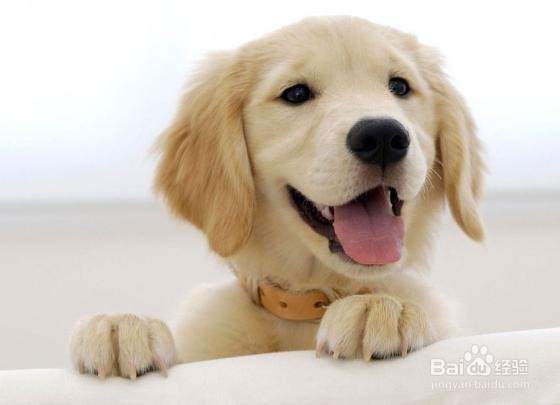 消化性溃疡患者住院情况是怎样的