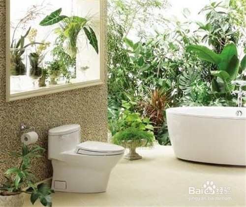 怎样才能清除厕所里的异味呢？